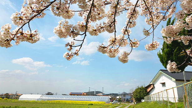 久原農園のご紹介